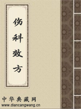 伤科效方
