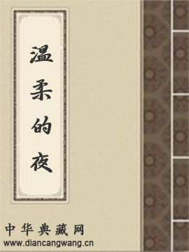 温柔的夜