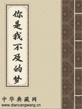 你是我不及的梦