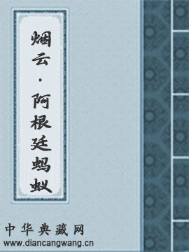烟云·阿根廷蚂蚁