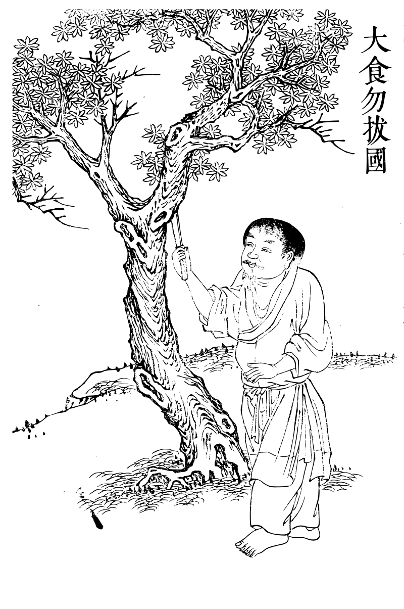 大食勿拔國.45611.png